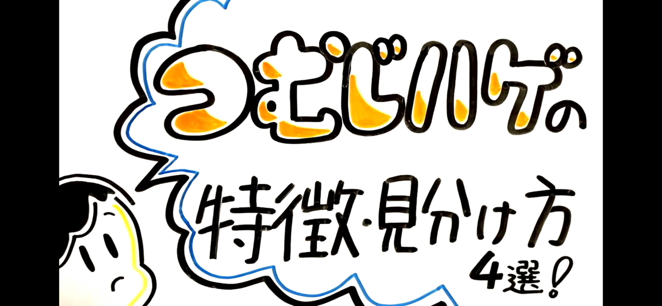 つむじハゲの特徴・見分け方4選