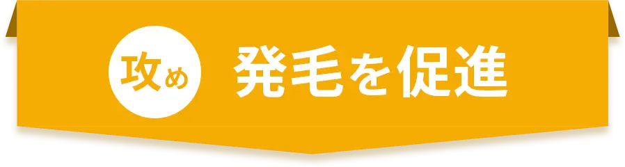 攻め 発毛を促進