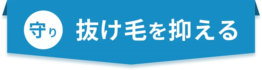 守り 抜け毛を抑える