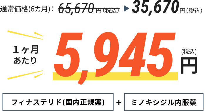 1ヶ月あたり5,945円(税込)