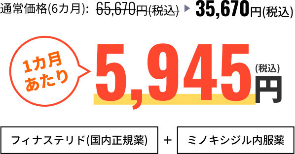 1カ月あたり5,945円(税込)