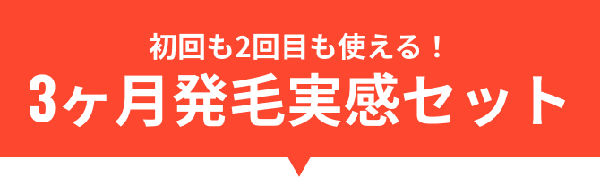 初回も2回目も使える!3ヶ月発毛実感セット