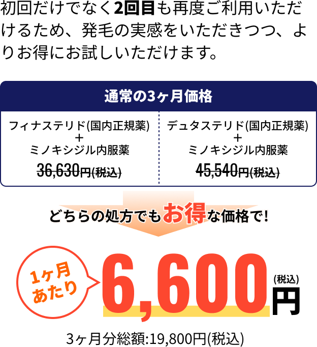 1ヶ月あたり6,600円 (税込) 3ヶ月分総額:19,800円(税込)
