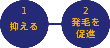 1 抑える 2 発毛を促進