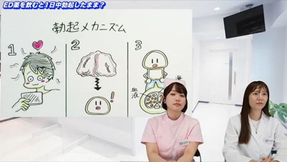 勃起のメカニズム