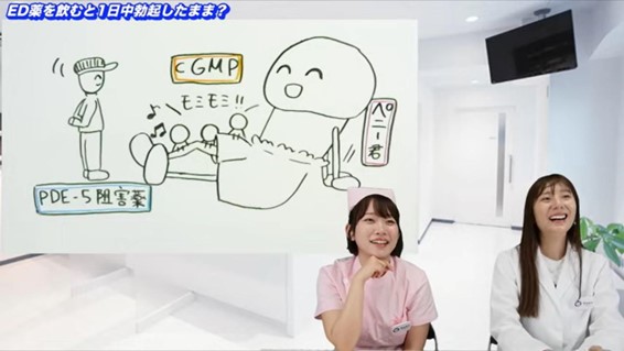 ED治療薬で勃起する仕組み