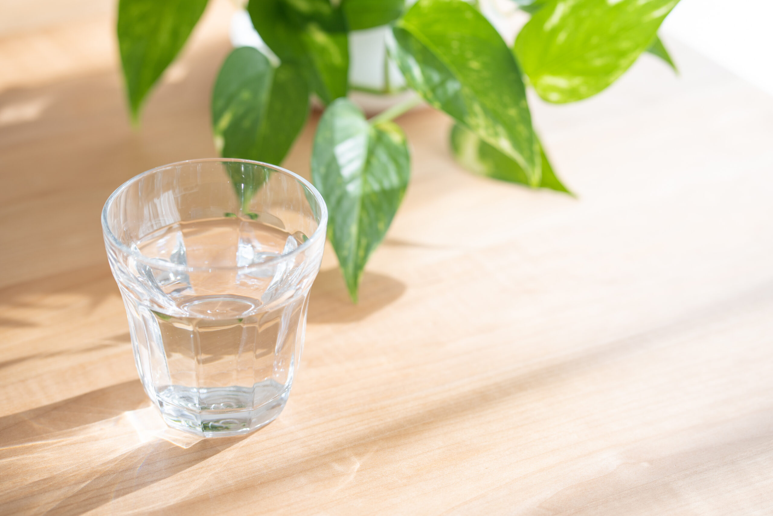 リベルサスの飲み方